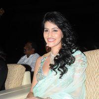 Anjali Lavania - Panja Audio Release - Pictures | Picture 128235